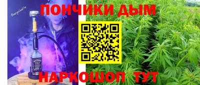гидропоника Краснознаменск